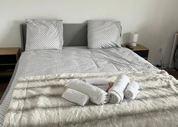 Appartement Luxueux Au Coeur De Lille